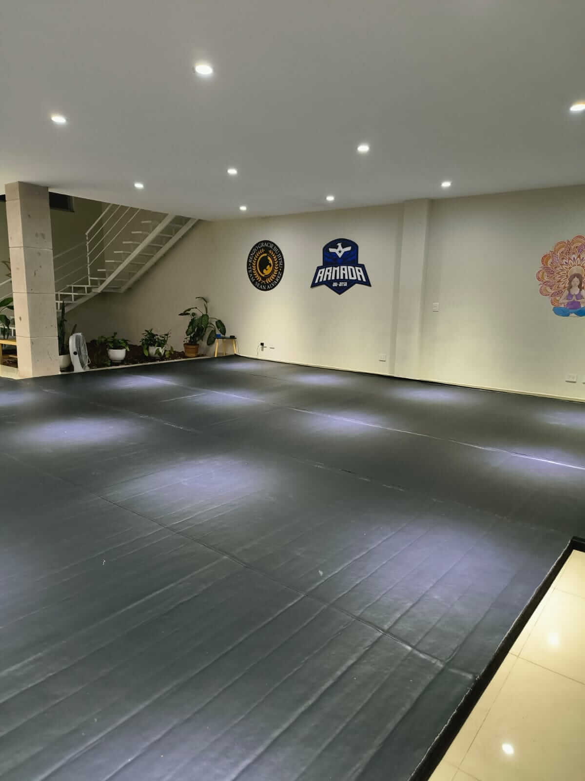 Equipamiento y pesas en Armada Jiu Jitsu